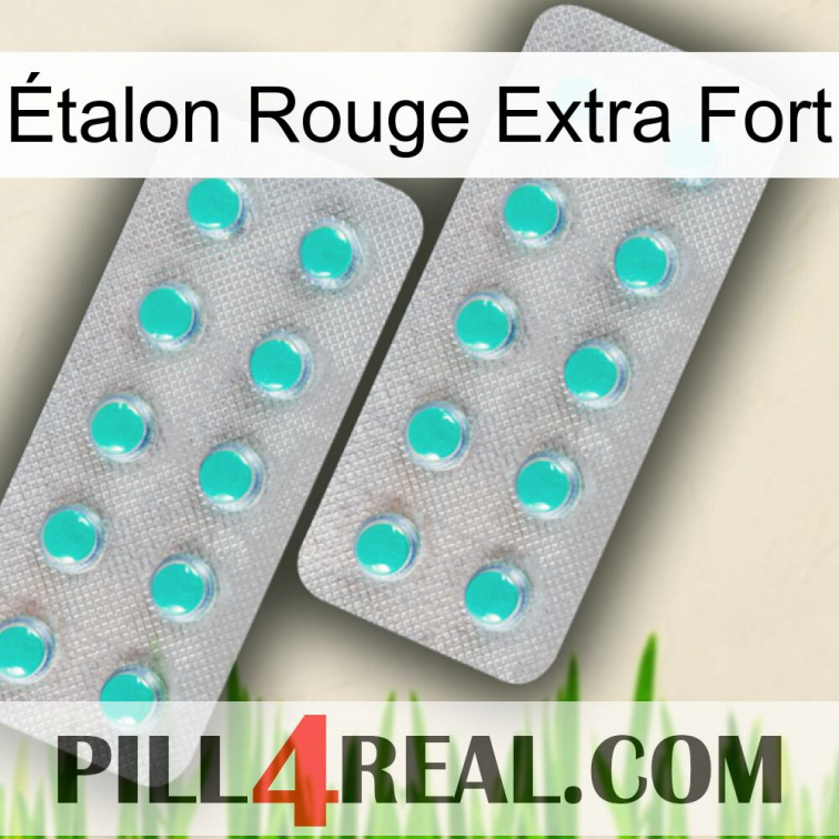Étalon Rouge Extra Fort 29